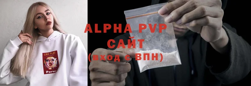 A PVP СК  Великий Новгород 